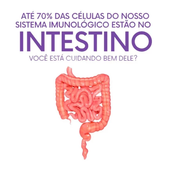 Você tem cuidado do seu intestino?